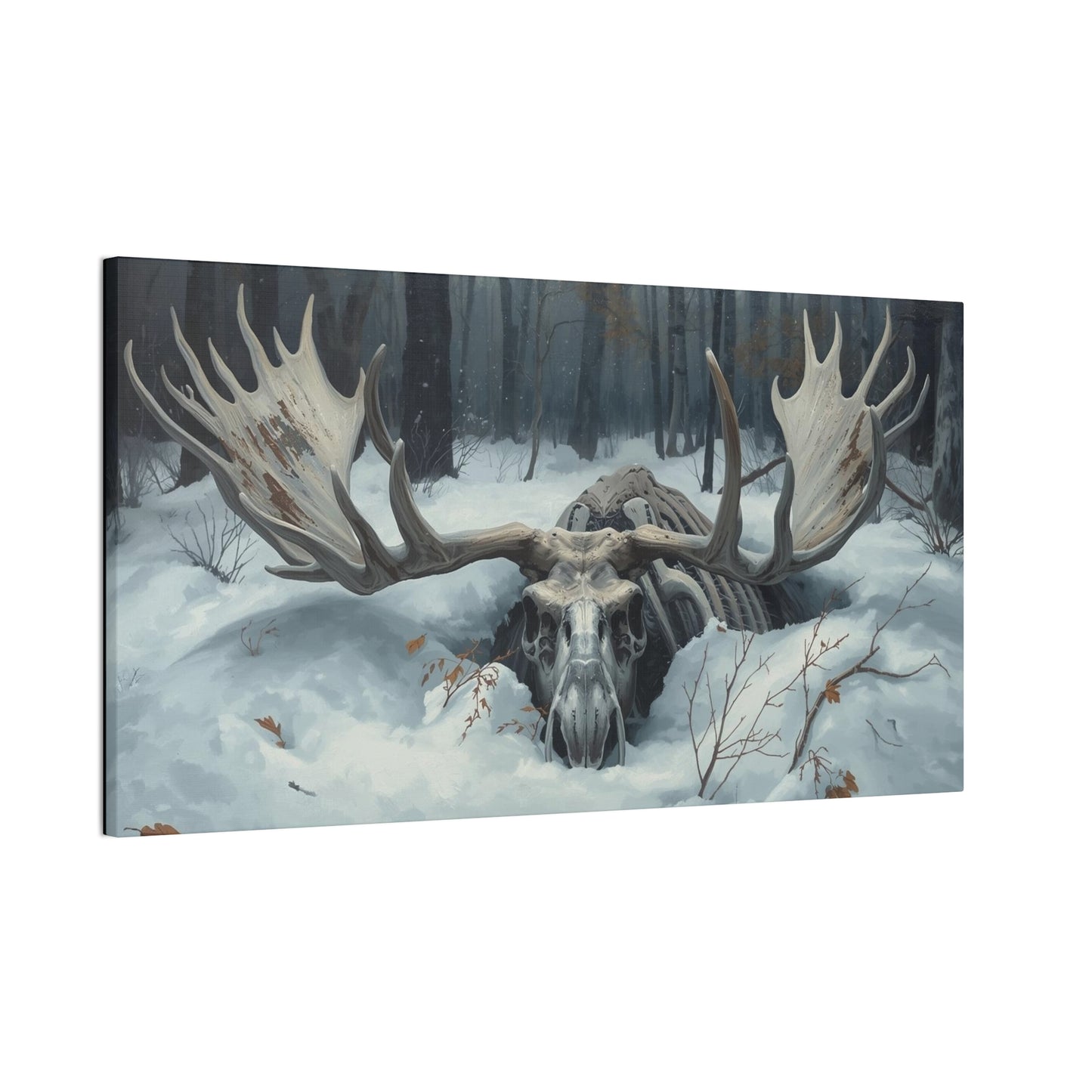 Moose Skull Winter Forest