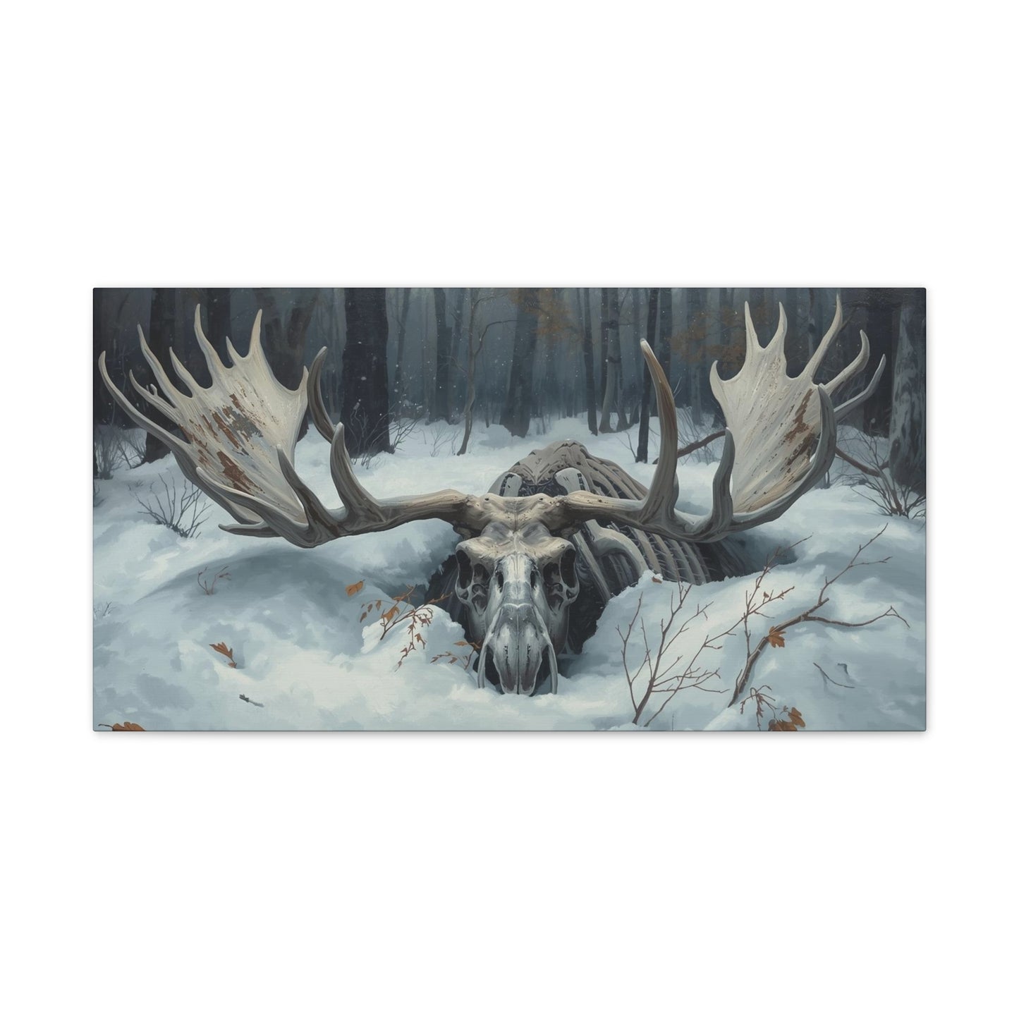 Moose Skull Winter Forest